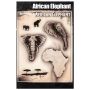 Wiser Airbrush Tattoo African Elephant